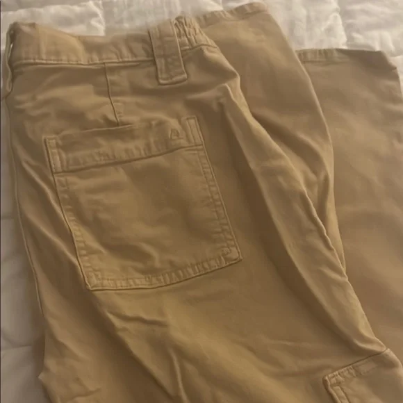 American Eagle Tan Cargo Pants - Picture 5 of 5